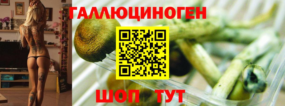 Галлюциногенные грибы прущие грибы Саранск